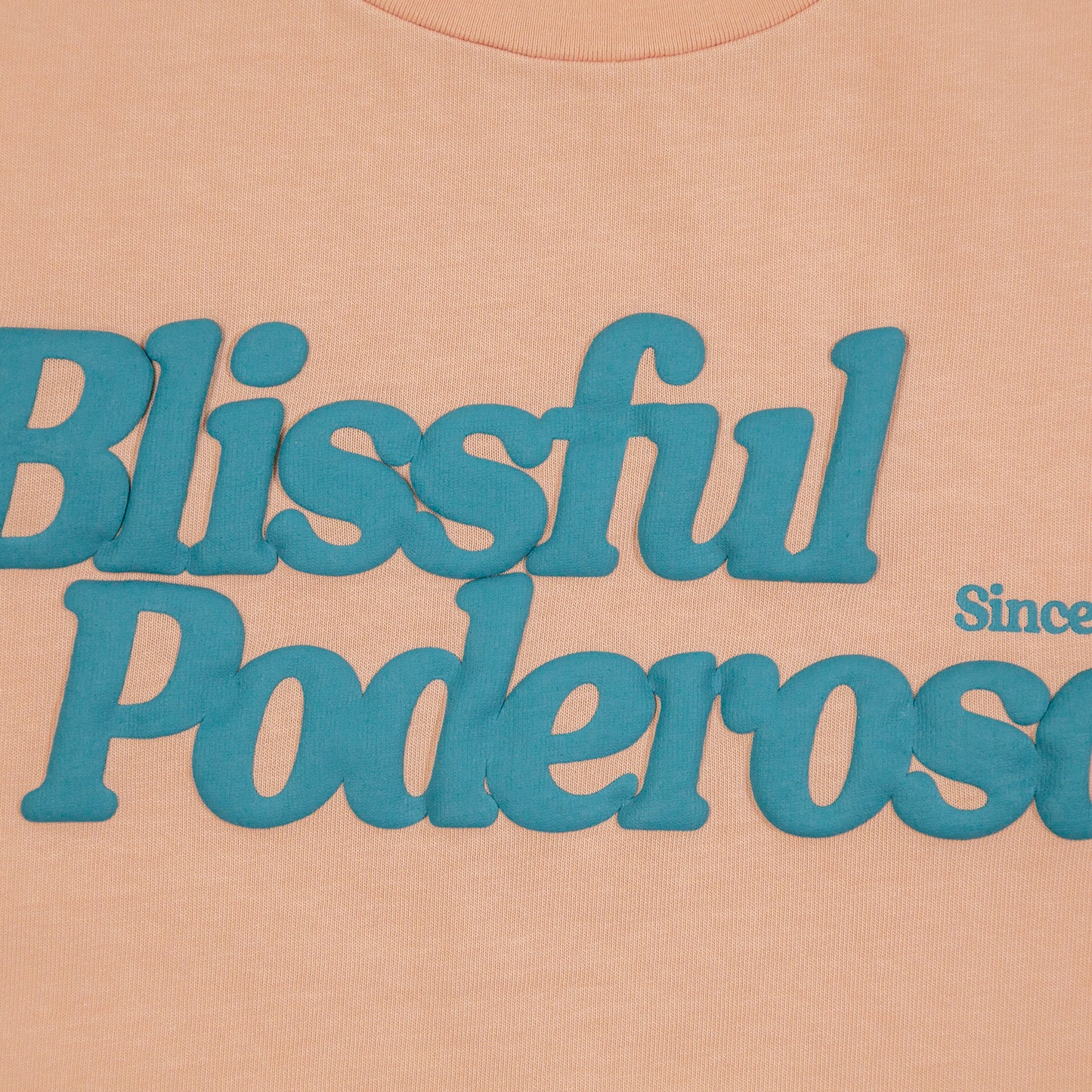 POPCORN LOGO S/S T-SHIRT / SALMON PINK