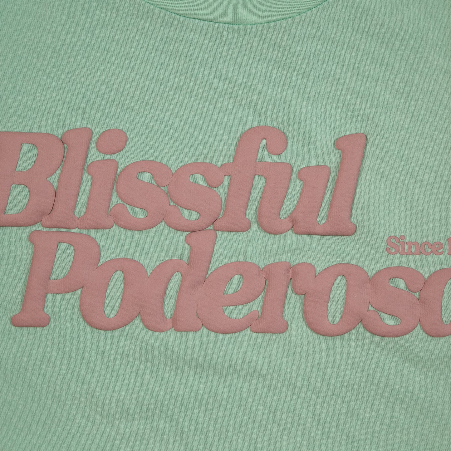 POPCORN LOGO S/S T-SHIRT / MINT