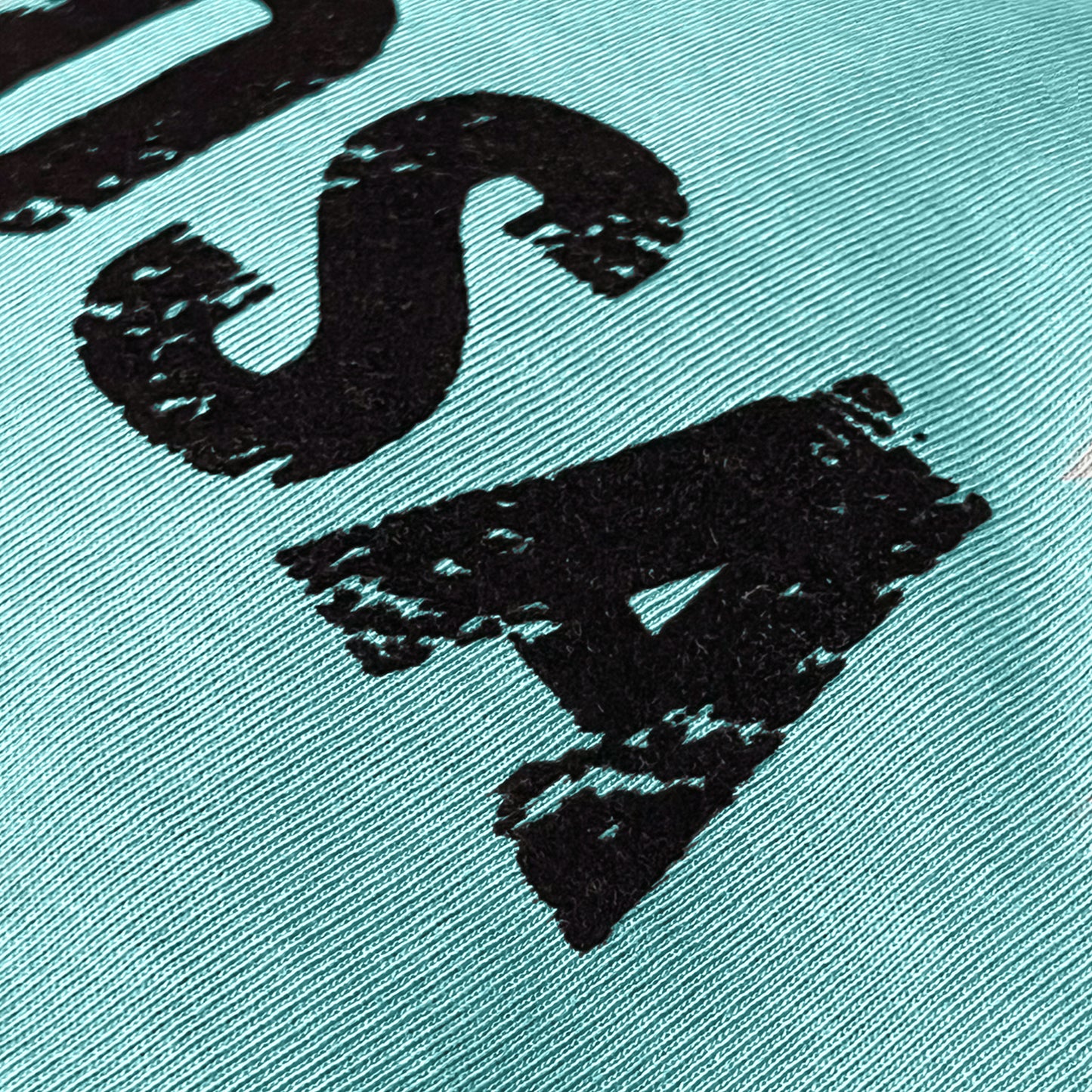 PODEROSA VELVET LOGO T-shirt / AQUA